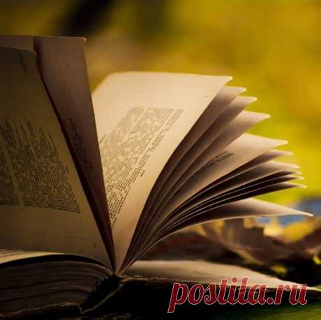 12 нюансов русского языка, которые делают его уникальным / Научный хит