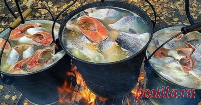 7 секретов правильной ухи. Приготовь легендарное блюдо так, чтобы все ахнули!