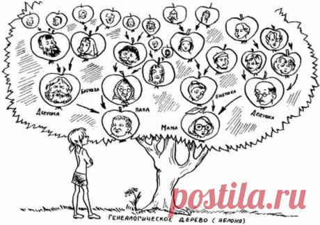 Степени родства у русских: кто мы друг другу после свадьбы Как определить степени родства у русских людей. Кто мы друг другу после свадьбы. Термины кровного родства. Старинные и современные термины.