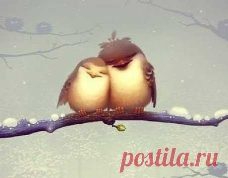 Правильные отношения