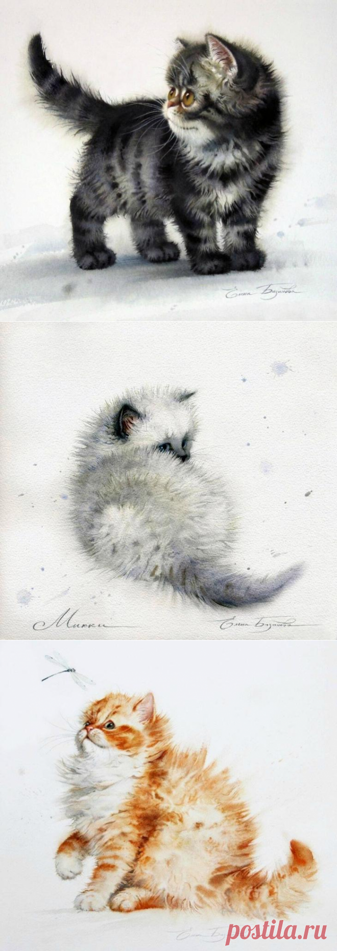 МИР КОШЕК ЕЛЕНЫ БАЗАНОВОЙ.