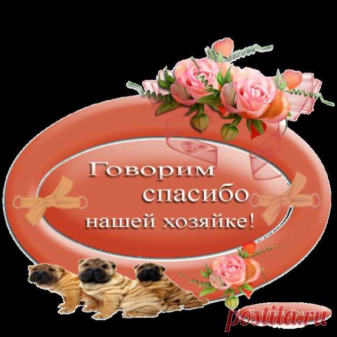Хитрости жизни (очень нужные советы).....