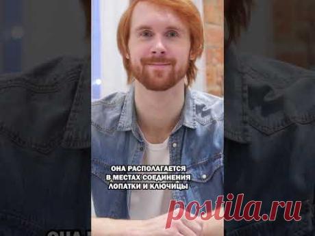 🔺 Бесплатный онлайн-интенсив "Как научиться дорогостоящему массажу"Все подробности по ссылке, переходи! ☛  https://massage-pay.ru/secrets_of_the_master_mad_...