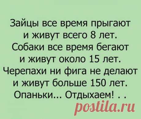 Original: https://cs636128.vk.me/v636128451/38151/MFfIL9lG1us.jpg