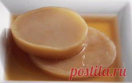 Польза чайного гриба