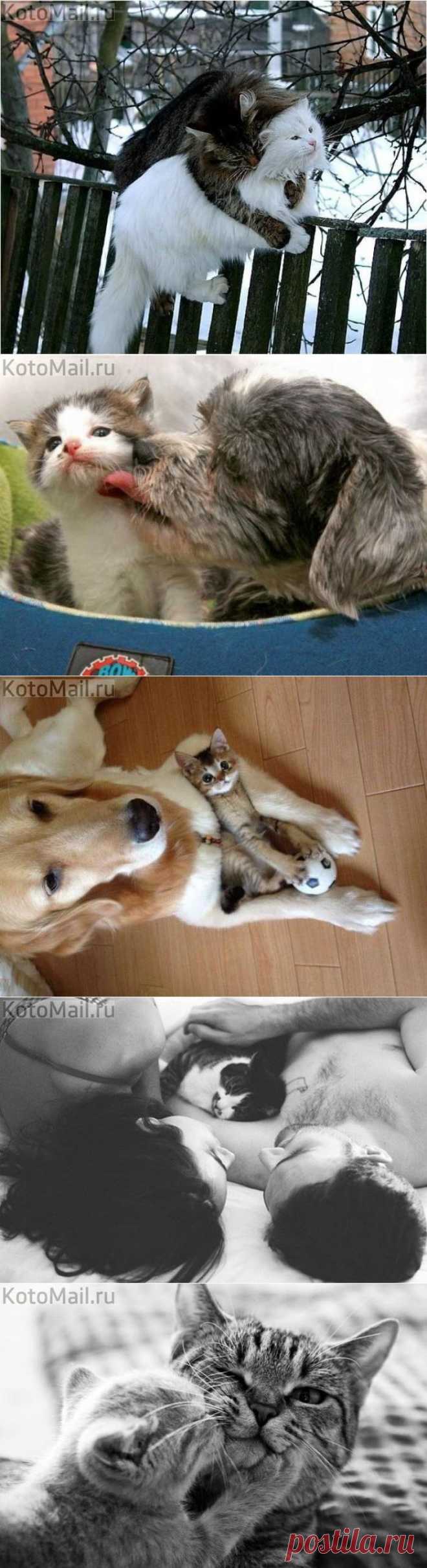 Такие нежные чувства :- *