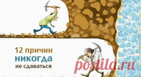 12 причин никогда не сдаваться – Фитнес для мозга
