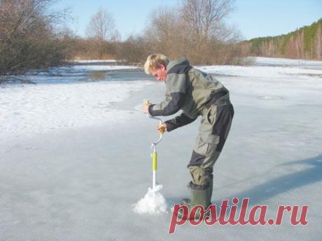 Тети, отпустите дядю на рыбалку!