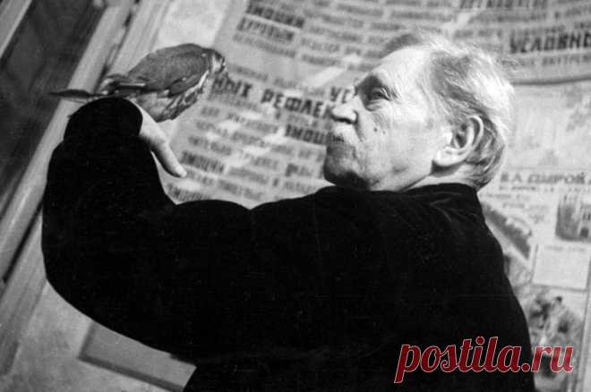 Владимир Дуров — дрессировка чиновников. Как циркач добивался своего. Школа дрессировки, созданная Дуровым, стала для мирового циркового сообщества примерно тем же, что система Станиславского для актёров — основой основ. Но процесс её создания был наполнен комическими ситуациями...