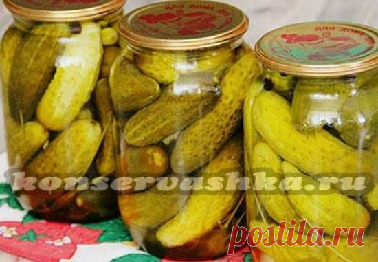 Засолка огурцов на зиму в литровых банках