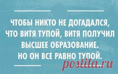 Лучшие цитаты дня | Удивительный мир