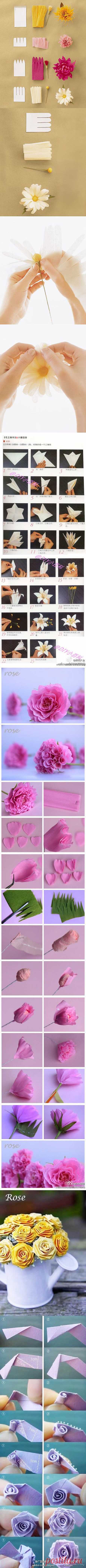 Grosgrain: Paper Flower Tutorials