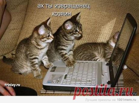 Мой Мир@Mail.Ru