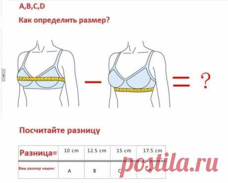 Как определить размеры нижнего белья

Буква латинского алфавита – кодовое название размера чашечки. Число впереди означает обхват под грудью, измеряемый в сантиметрах. Определить его просто: возьмите сантиметр и измерьте объем грудной клетки под грудью на выдохе. Следите, чтобы сантиметровая лента лежала ровно. То значение, которое вы получите, и будет первой частью вашего размера.

Следующим этапом будет измерение объема груди по наиболее выступающей части (обычно на уров...