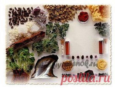 Традиционная гомеопатия для детей и взрослых.