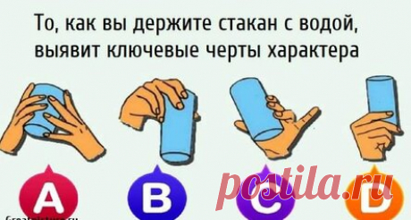 То, как вы держите стакан с водой, выявит ключевые черты характера