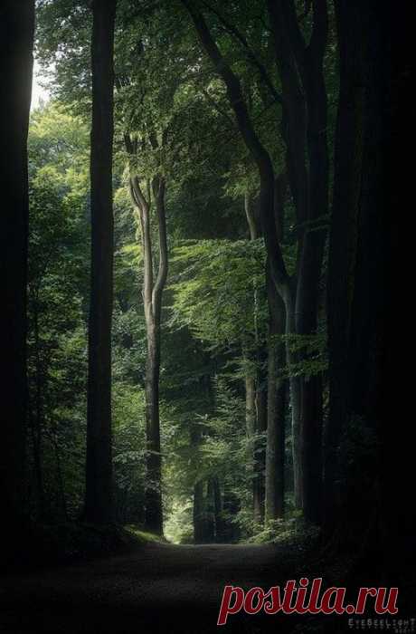 (162) Pinterest