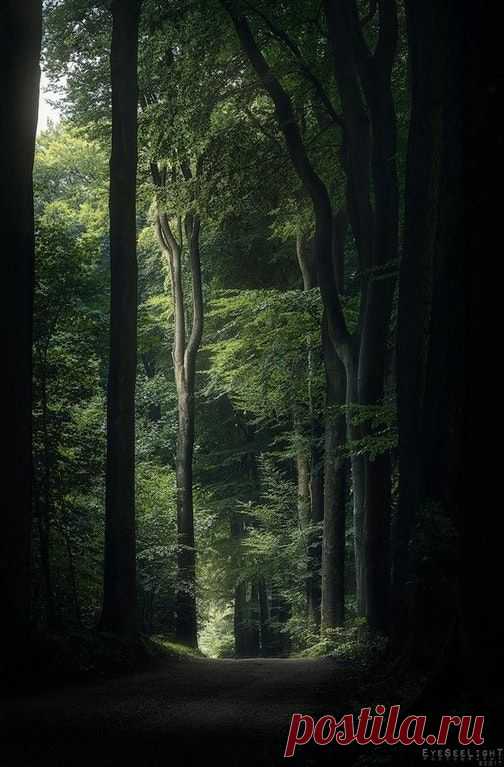 (162) Pinterest