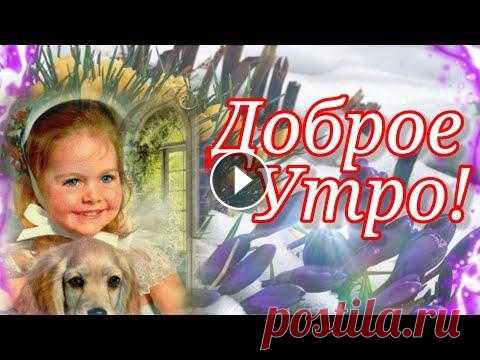 С Добрым Утром! Обалденная Музыкальная Открытка с Зажигательной песней! Здравствуйте меня зовут Ира, я очень рада приветствовать вас на своём канале! Спасибо что смотрите мои видео и делитесь со своими друзьями! Я всегда ж...