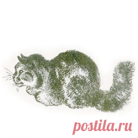 КРАСНАЯ ГОРКА