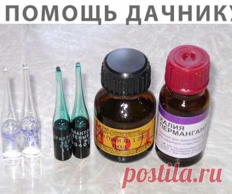 В ПОМОЩЬ ДАЧНИКУ!!!