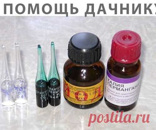 В ПОМОЩЬ ДАЧНИКУ!!!