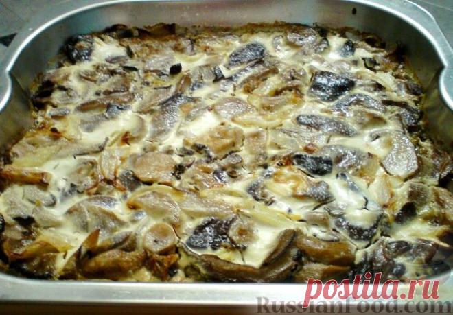 Грибы в сметане - 50 вариантов приготовления.