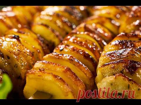 Kартошка с выставки | 12- серия 