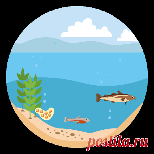 Онлайн-школа Фоксфорд