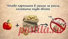 Полезные советы