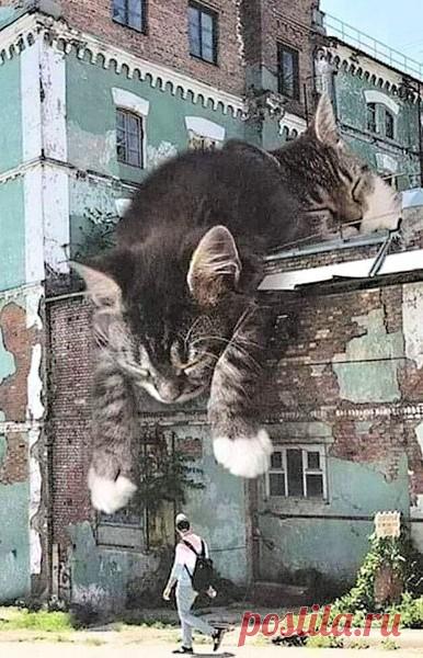 Уличные рисунки. – КРАСИВЫЕ КАРТИНКИ. ВИДЕО. МИР, В КОТОРОМ МЫ ЖИВЕМ! , пользователь Тумбина Марина | Группы Мой Мир