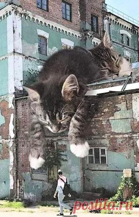 Уличные рисунки. – КРАСИВЫЕ КАРТИНКИ. ВИДЕО. МИР, В КОТОРОМ МЫ ЖИВЕМ! , пользователь Тумбина Марина | Группы Мой Мир