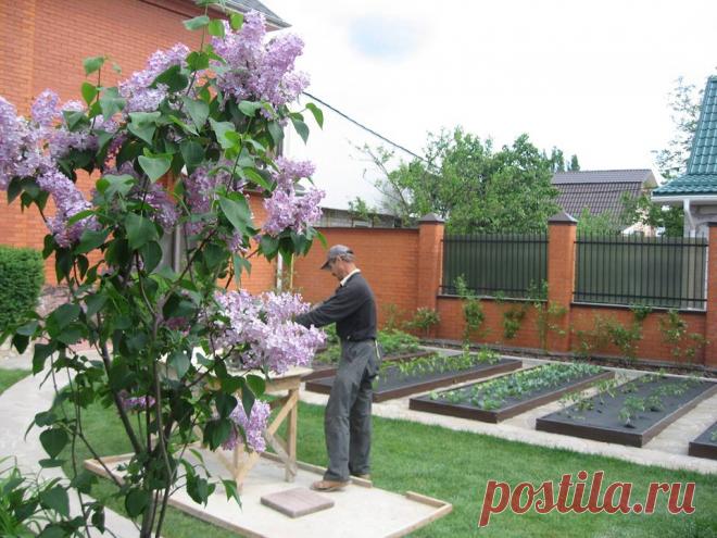 Идеальный огород своими руками