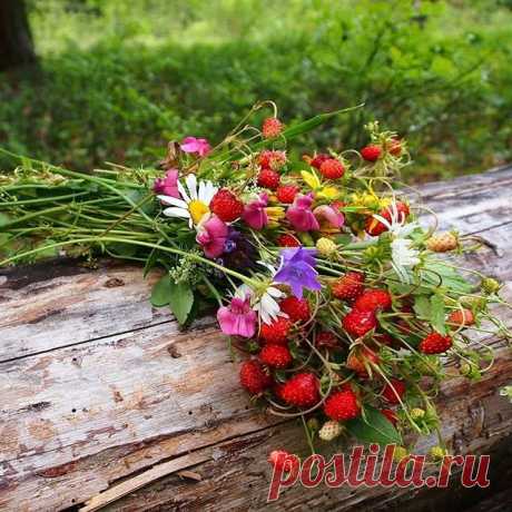 Photo by Ирина Сабитова on June 27, 2020. На изображении может находиться: растение, цветок, на улице и природа