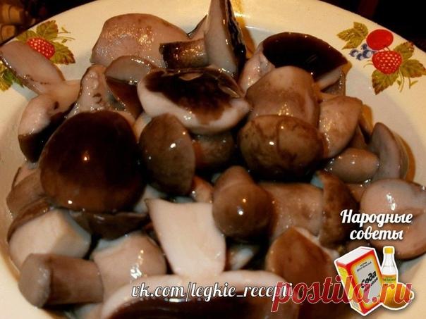 МАРИНАД ДЛЯ ГРИБОВ (Опят, маслят, белых и т. д. )
Такие грибочки даже дети будут кушать ложками! Маринад супер удачный!

Ингредиенты:
1 литр воды;
2 ст. л. сахара;
4 ч. л. соли;
3 шт. лаврового листа;
6 горошин душистого перца;
4 шт. гвоздики;
3 кусочка корицы (молотой ½ ч. л.) ;
3 ч. л. уксусной эссенции 70 %.

Приготовление:
При использовании столового 5% уксуса необходимо взять 800 мл воды и 200 мл 5% уксуса. При использовании 9% уксуса - 890 мл воды и 110 мл 9% уксуса....