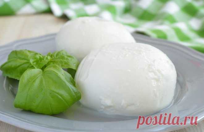 Как приготовить моцареллу самостоятельно: инструкция к применению