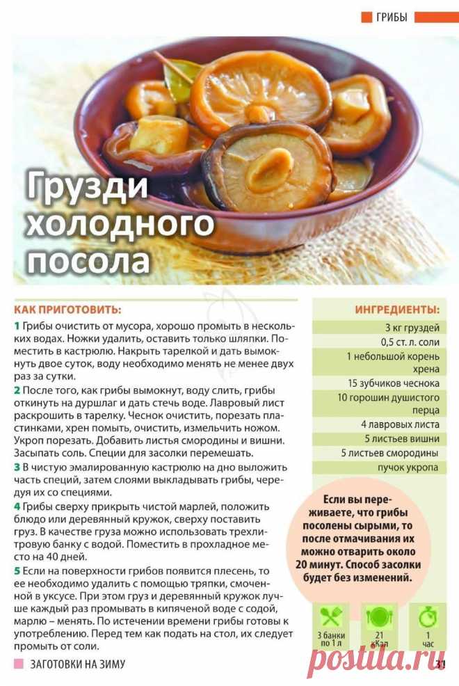 Грузди холодного посола