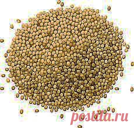 Пшено - еда и лекарство Вывод антибиотиков.