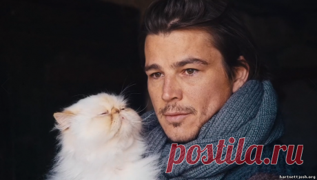 Джош Хартнетт, 21 июля, 1978