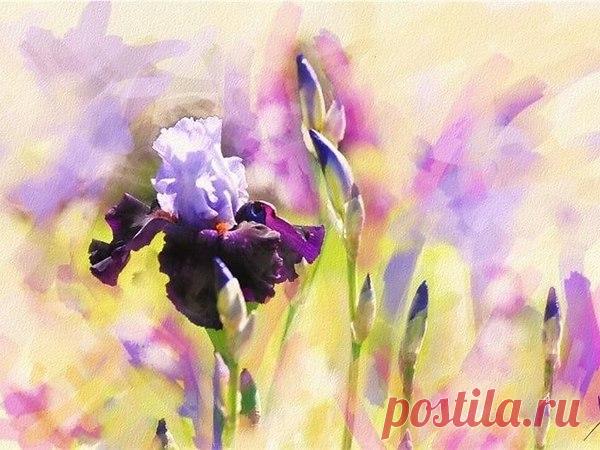 Интересные новости