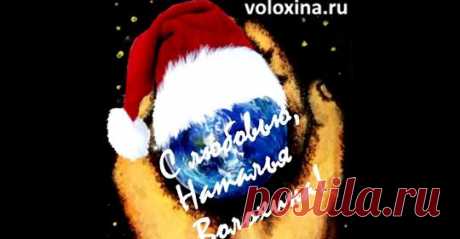 Наталья Волохина