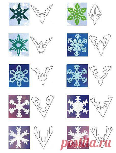 Фотографии на стене сообщества | 32 800 фотографий