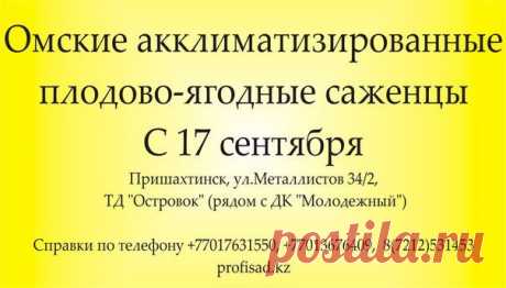 PROFI-САД Караганда