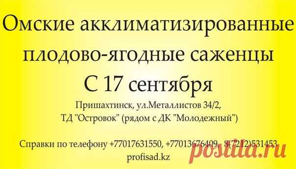 PROFI-САД Караганда