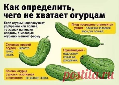 Вы это знали?