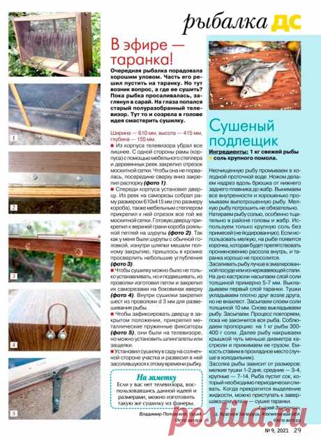 Сушилка для рыбы. Сушеный подлещик