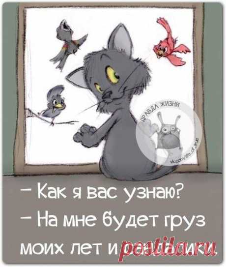приколы новогодние