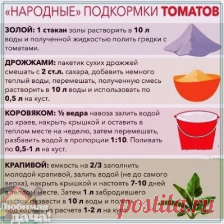 ДаЧнИк №1 - 1000 Советов