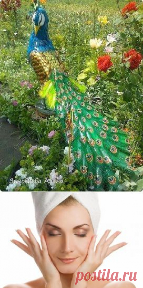 (57) Одноклассники