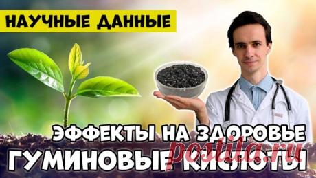 ГУМИНОВЫЕ КИСЛОТЫ: здоровье кишечника, детокс, против грибков Массовое выращивание сельскохозяйственных культур, отказ от повторного внесения гумуса в почву и зависимость от химических удобрений – обедняют продукты питания и затрудняют получение всех необходимых питательных веществ, микроэлементов и витаминов из растений. Добавки с гуминовыми соединениями могу